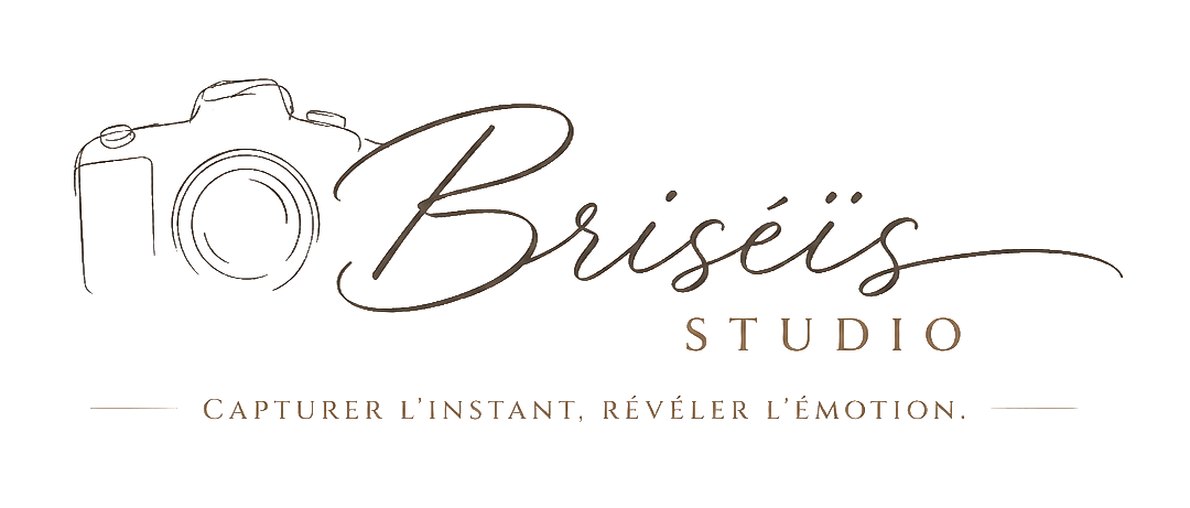 Logo Briséïs Studio